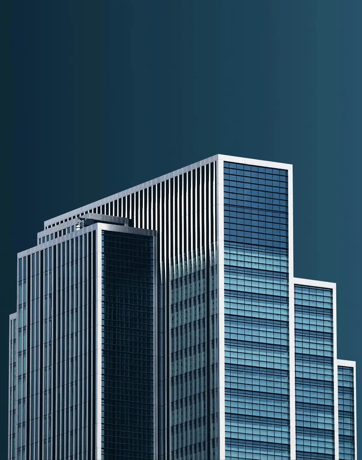 FitSphere case study visual